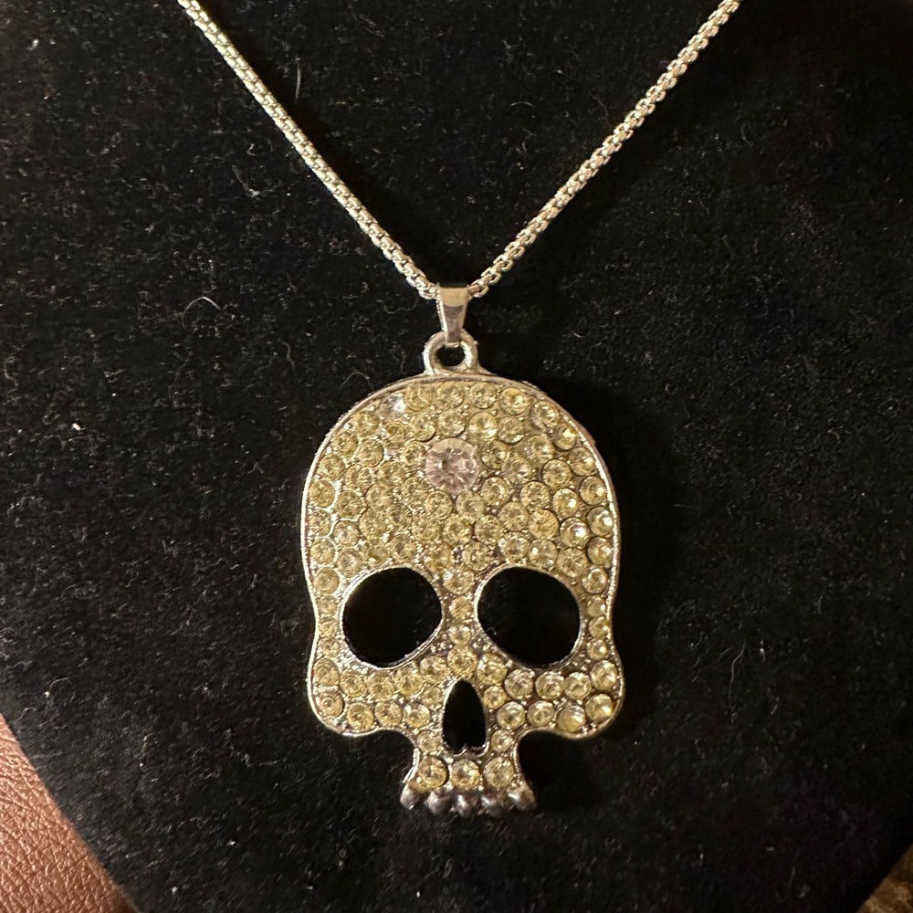 Origami owl silver tone necklace and rhinestone skull pendant